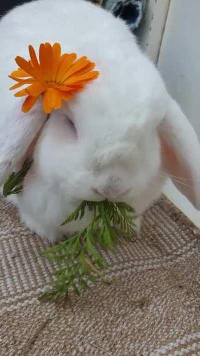 Felt cute, might delete later