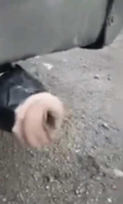 Tempting but please DON’T