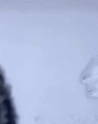 The snow is one cat deep