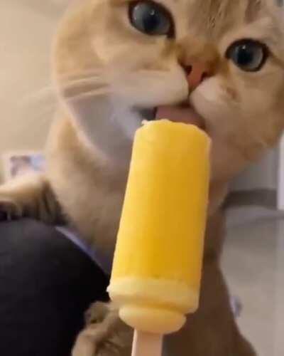 Wow, this tastes so goooood!