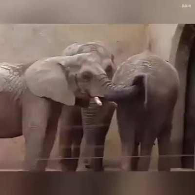 Опа, перекус