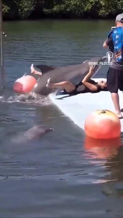 E foi assim que surgiu o Aquaman