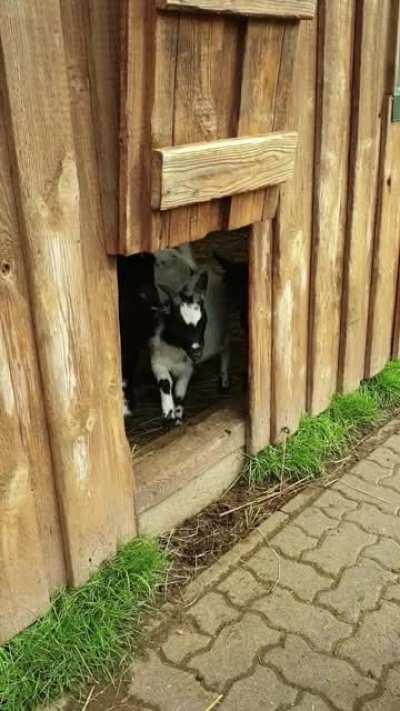 Wie motiviert ich bin, Montags aus dem Haus zu gehen