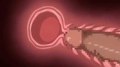 What can I get for five bucks?