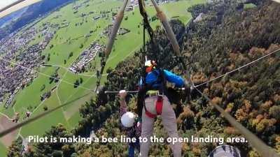 Guy is not strapped in to the hang glider
