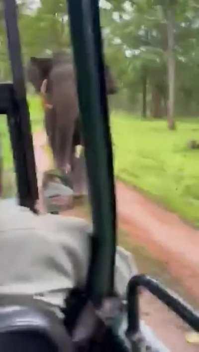 Hats Off to composure of the driver.