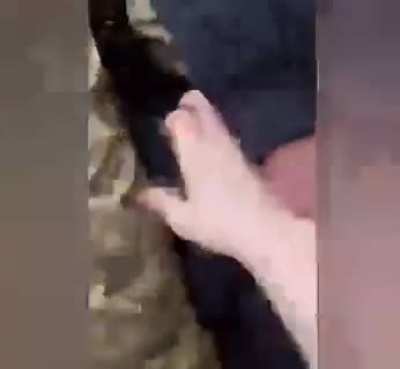 n*zi soldiers forcefully recruting old citizens