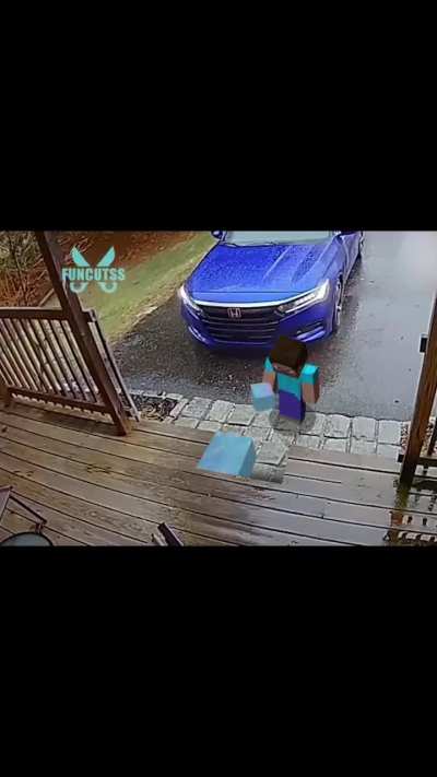 Steve no seu dia mais ocupado 