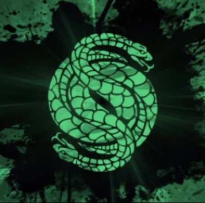 Professionals have standards