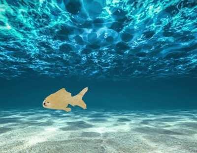 le evolution has arrived