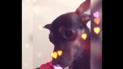 Nome da música please