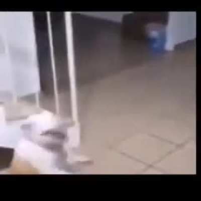 Oßodjbsiwosjkspwodkxksk