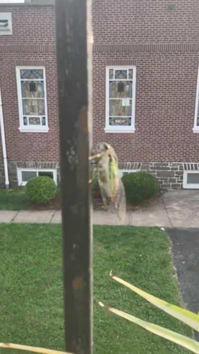 This man really just flew up next to me and screamed in my ear 🙄