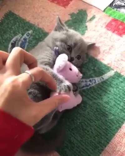 don't touch my friend hooman