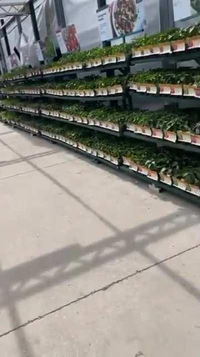 viCiOUs criMinAL sTeaLs fROm LoCAl sUPerMarKET, LEaVes tHe pLAce RaNsaCKed