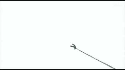 Which part does the maga crowd don't understand?