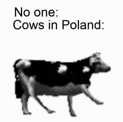 Tylko jedno w głowie mam