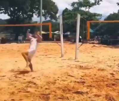 The dog even realizes when they win the point and celebrates