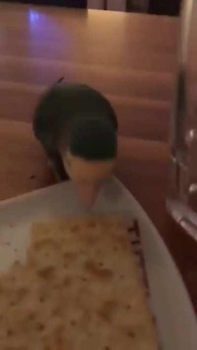 I'm just gonna come here, and get this...