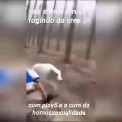 Hue hue zua o pessoal do luba nunca perde a graça