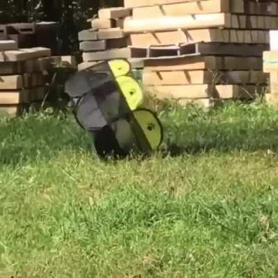 trying out his new Cat Tent