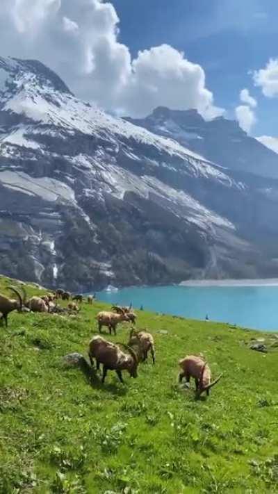 Oeschinen Lake, Switzerland