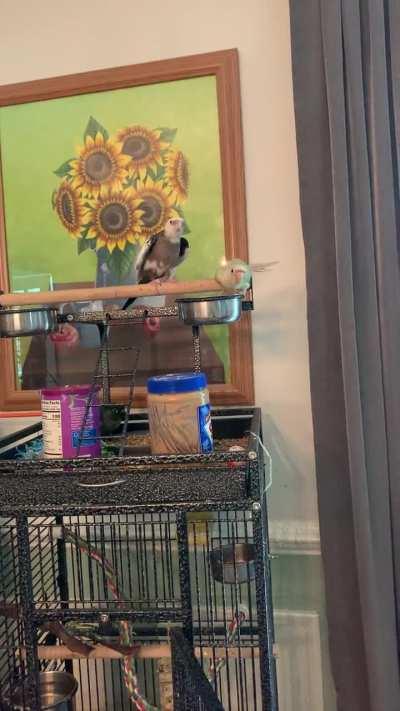 Oh no he’s flirting 