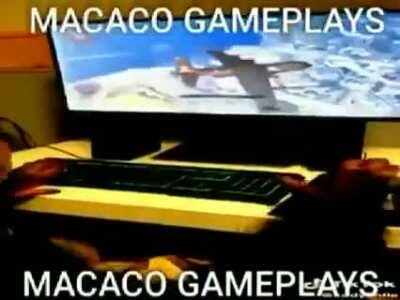 Macaco gameplays