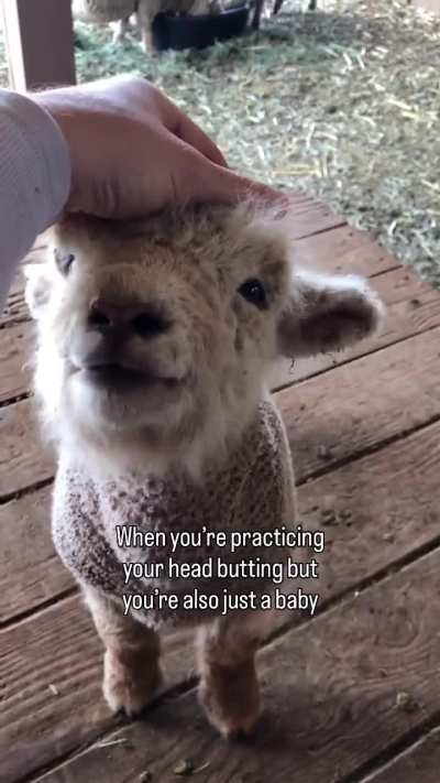 He is so small and he is already practicing