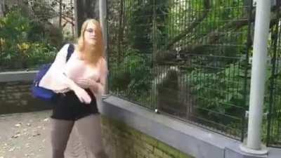 Porcupine likes to dance