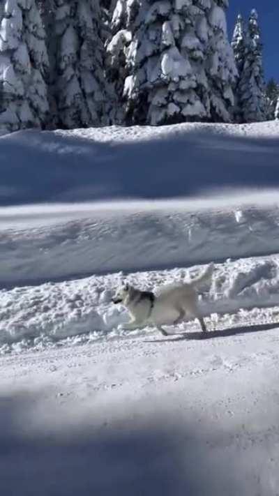 PURE JOY ❄️⛄️😍😍😍