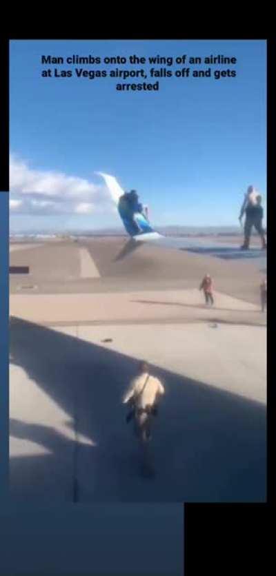 This guy was looking for a free ride.