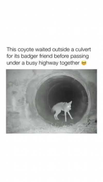 The most wholesome thing I&rsquo;ve seen all day. 🥰