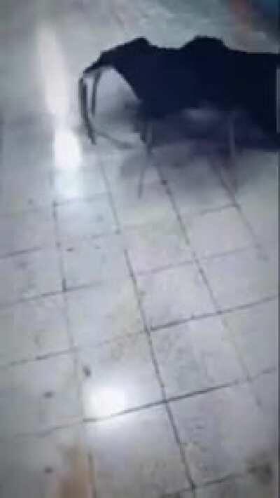 solamente mi paraguas 😎