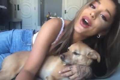 Stuck With Toulouse