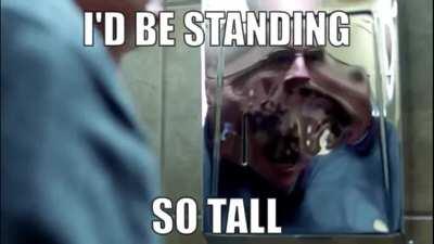 Walter White is the Ruler of Everything (but replace Everything with the Southwestern US meth trade from 2008-2010)