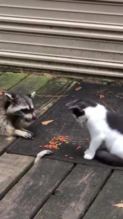 To steal some snacks