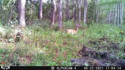 bro is 0 weeks old and already filled with the wonder of nature