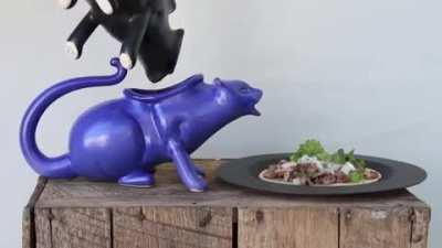 Thanks, i hate this cat gravy boat