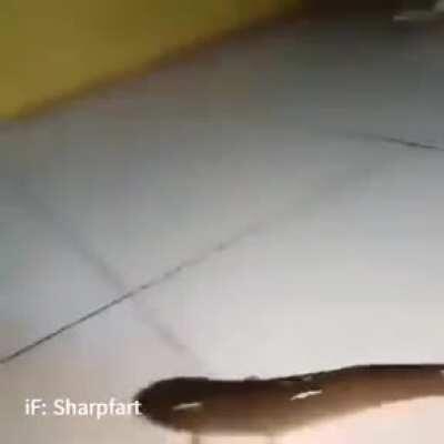 Okay but... why were they filming?? Evolution time ftw!