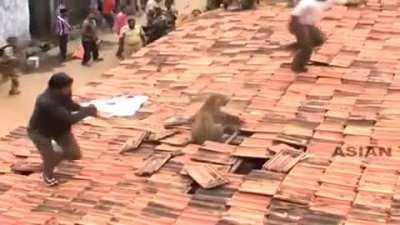 bad kitteh!! psst psssstt!