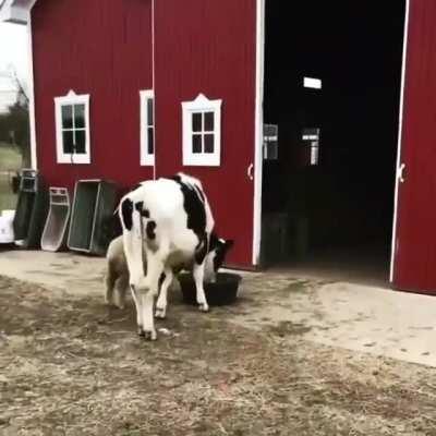 What a cutie! ❤️