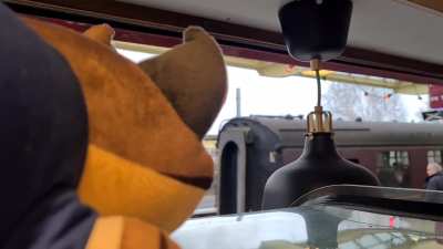 Just a lil Rocky train watching 🚂