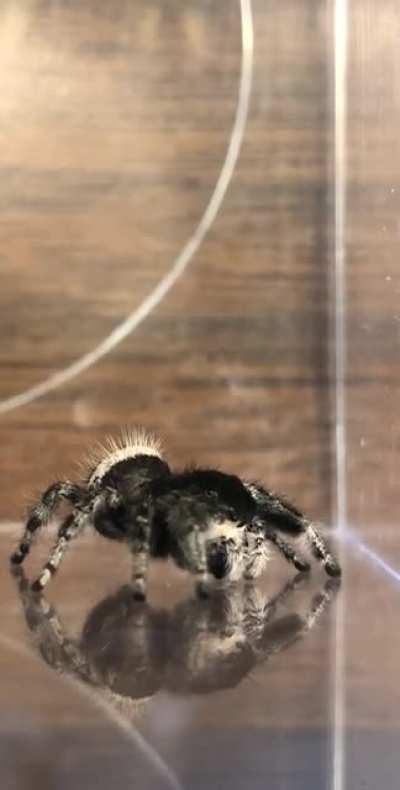 reflections are crazy