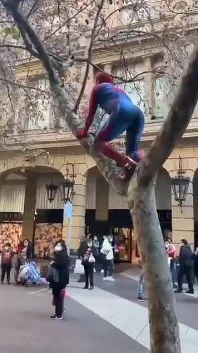 Estupido y sensual Spiderman chileno
