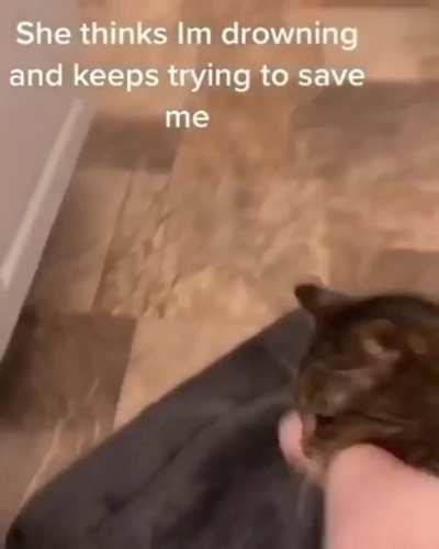 Wait... Lifeguard on duty...