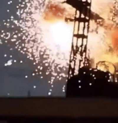 Птичку жалко