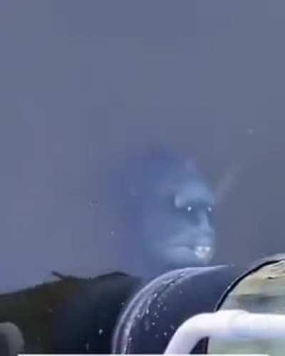 Just feed the little fellow!