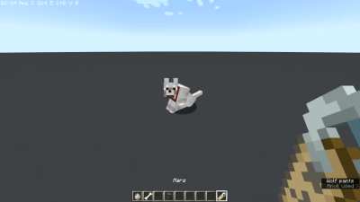 In case you didn't know, naming a tamed wolf 'Mars' in Snapshot 22w13oneBlockAtATime will give it a unique texture. I took advantage of Optifine's random entities feature and I turned it into a resource pack. I don't know if anyone would want a download o