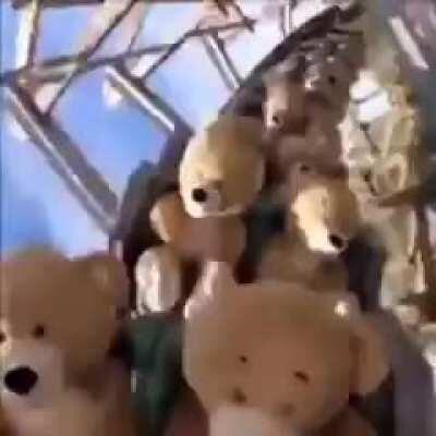 I got a crush yes, sex now